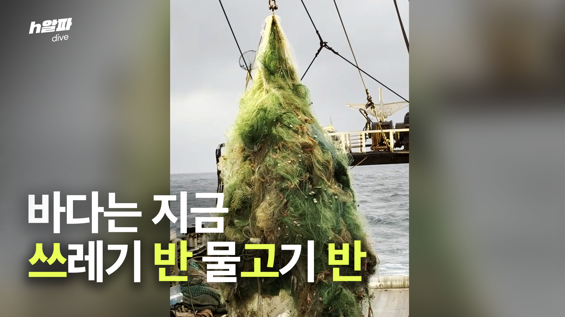 지금 바다에선 물고기 대신 쓰레기가 올라온다고? | 트래시 TRASEA [h알파 다이브]