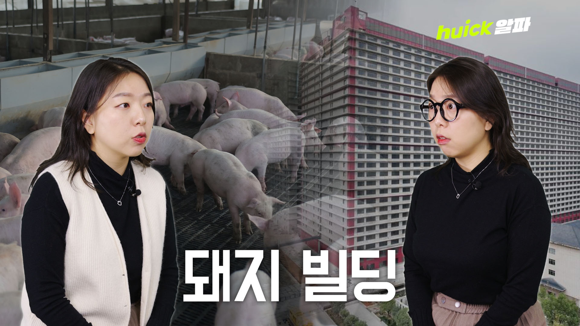 고층 빌딩이 돼지 사육장? 중국식 '돼지 빌딩' 짓겠다는 충남도 [휙]