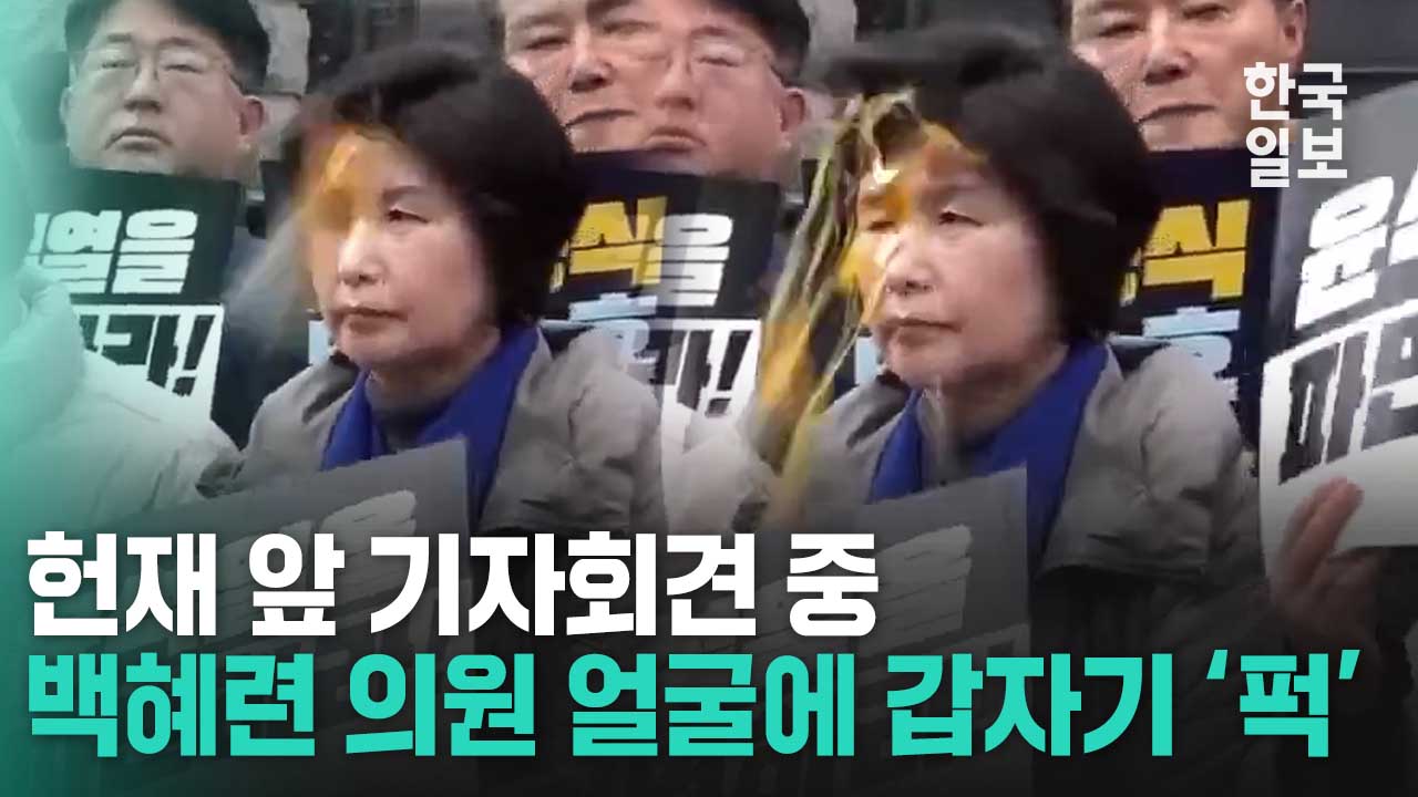 '신속파면 촉구' 기자회견 중 얼굴에 계란 맞은 백혜련 의원, 곧바로 추스르더니